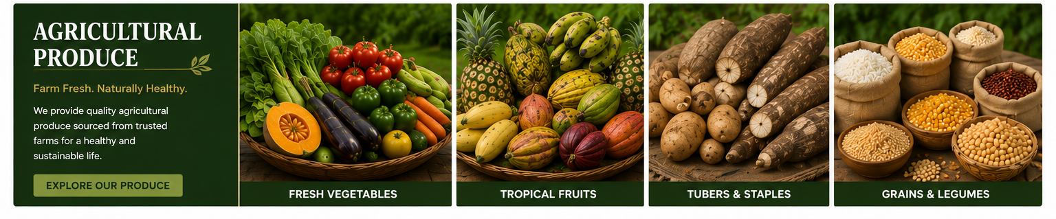 judicious_ileke_agricultural_produce